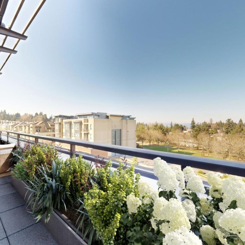 a garden outside a building