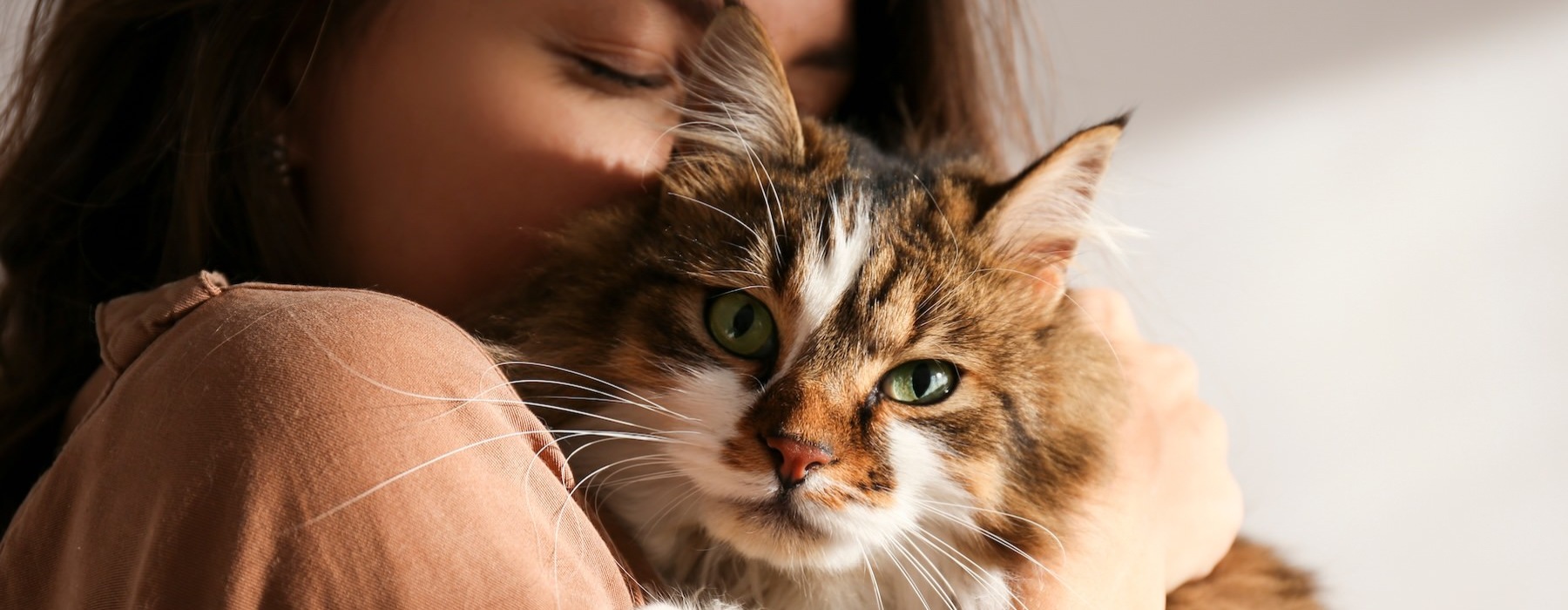 woman holding a cat